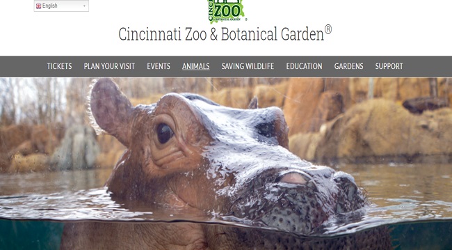 Hayvanat bahçeleri ve akvaryumlara dijital gezi